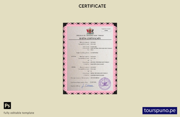 listo para imprimir plantilla PSD de certificado de nacimiento de registro ci 58